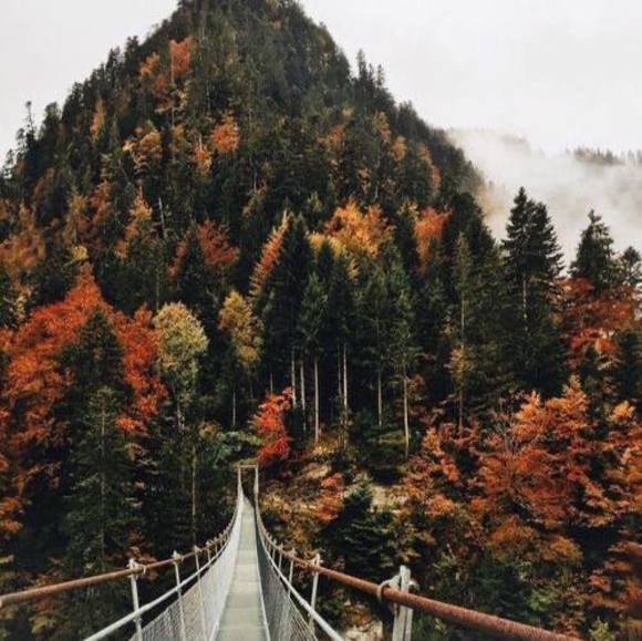 Meet your Posher, Emma - Picture 1 of 1